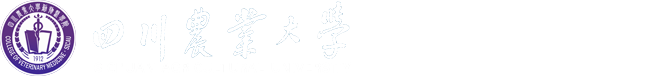 365英国公司